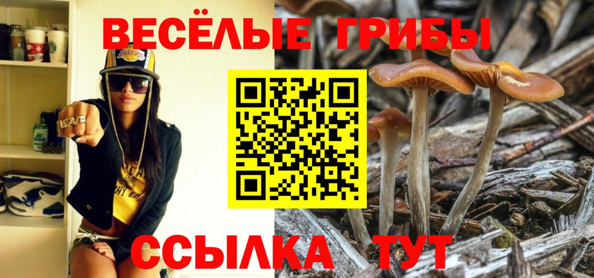 Полысаево  Галлюциногенные грибы прущие грибы  Вход с VPN 